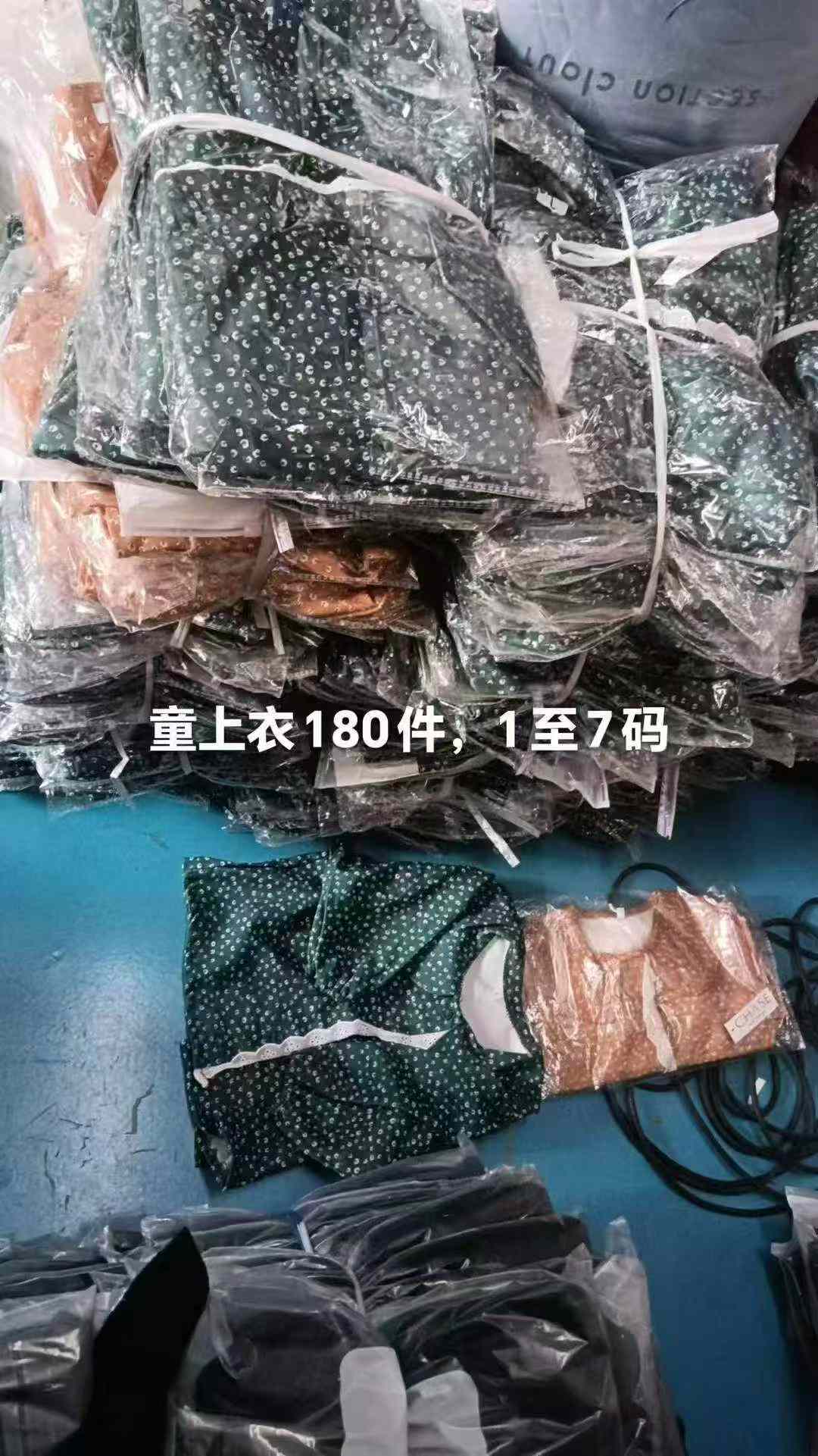 Kids dolly collar shirts